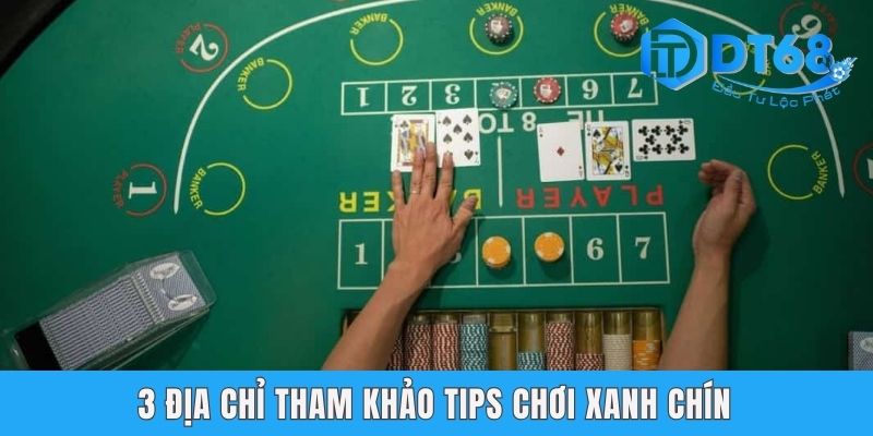 3 địa chỉ tham khảo tips chơi xanh chín